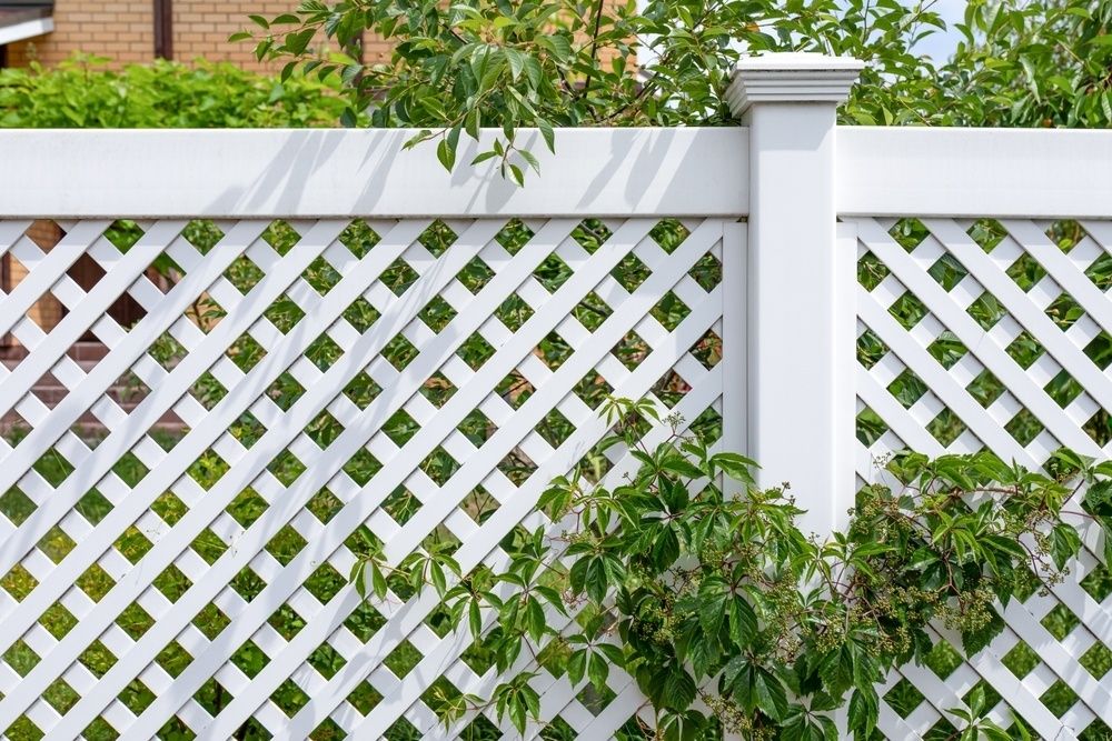 Recent fencing project — Mid Coast Boundary Fencing, NSW