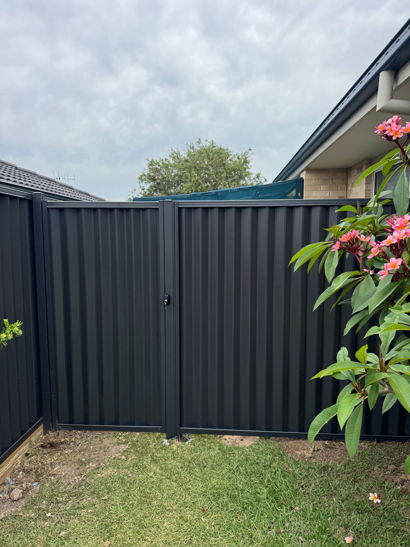 Colorbond Fencing in Port Macquarie — Mid Coast Boundary Fencing, NSW